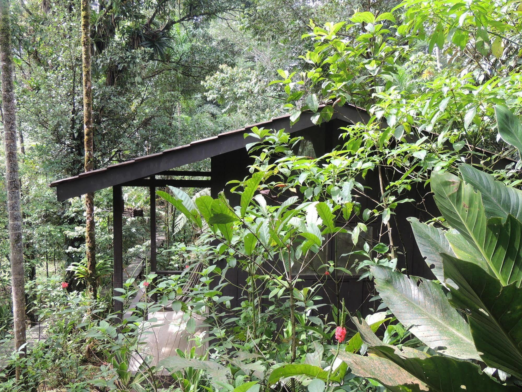 Yatama Rainforest Ecolodge Sarapiqui Exterior photo