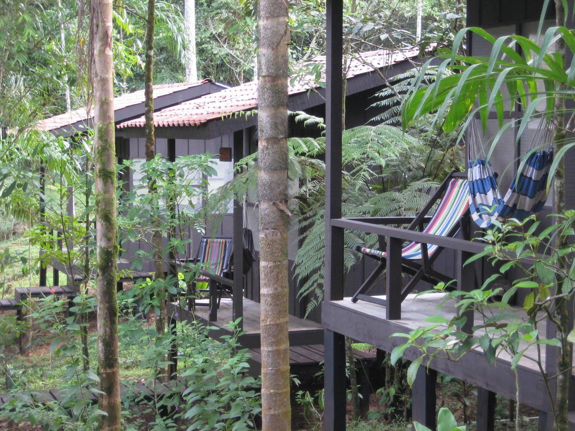 Yatama Rainforest Ecolodge Sarapiqui Exterior photo
