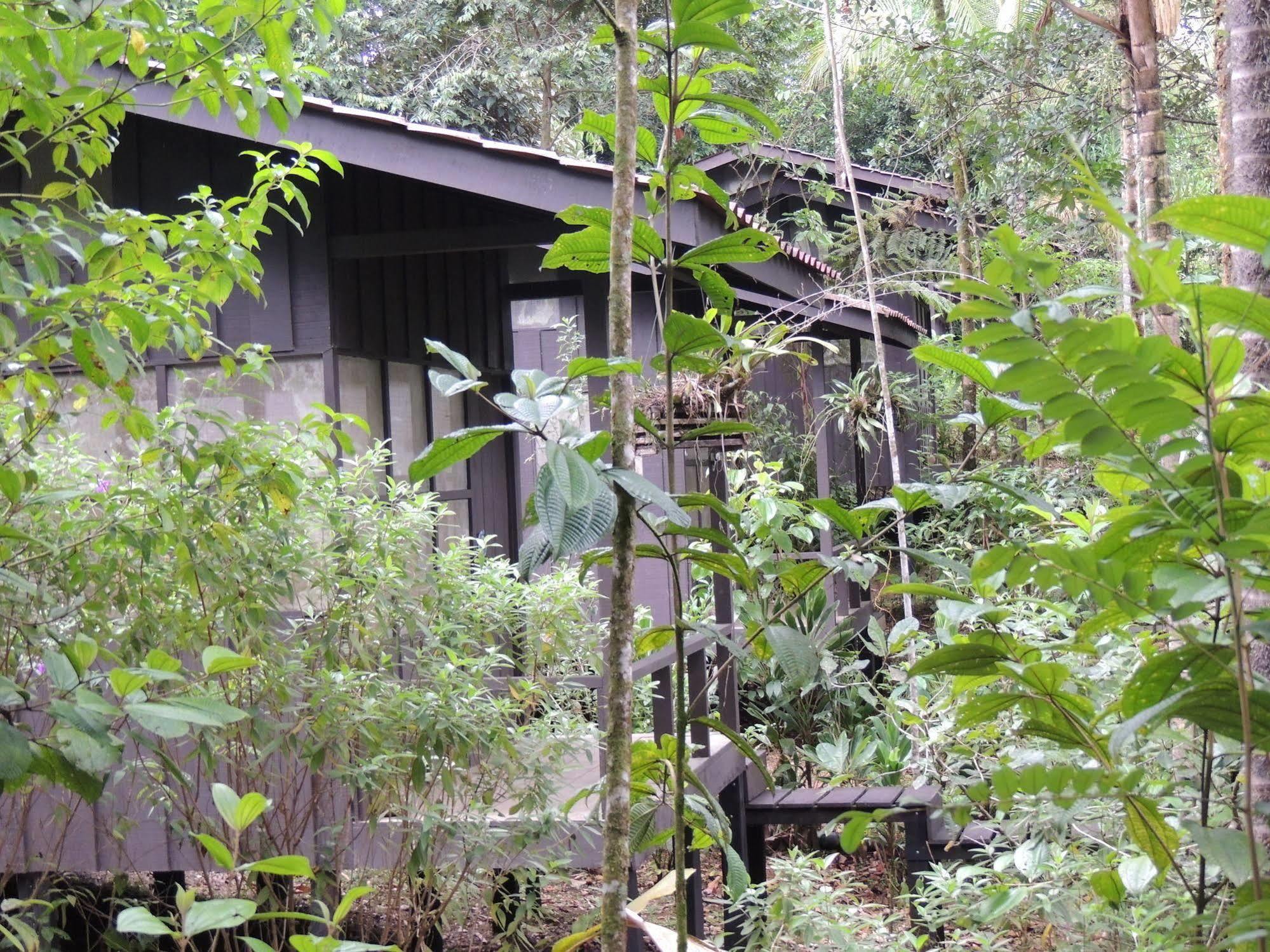 Yatama Rainforest Ecolodge Sarapiqui Exterior photo